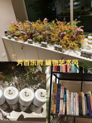 -芳香乐府疗愈空间·SPA·冥想