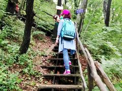-吊水壶国家森林公园