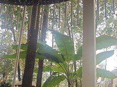 -二荆条·蜀鲜汇城市森林火锅