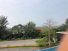 -北海金海湾红树林生态旅游区