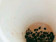 -沪上阿姨鲜果茶(华新大街店)