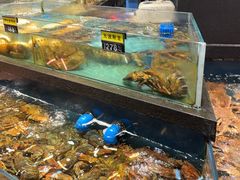 -龙宴海鲜城(经中路店)