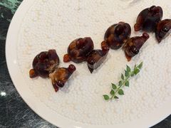 -甄御•海鲜新青岛菜(麦岛店)