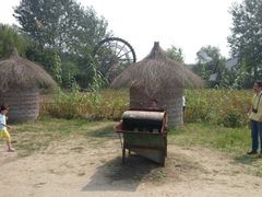 -溱湖国家湿地公园