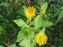 -碓臼峪自然风景区