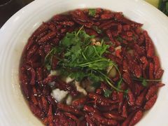 梧桐花园餐厅(车站店)-梧桐花园餐厅(新城店)