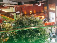 -三强鸽子(中原路店)