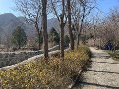 -阳台山自然风景区