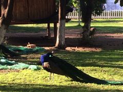 iphone_upload_pic-西昌邛海宾馆