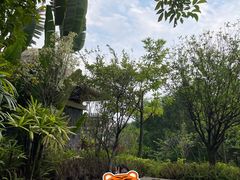 -清远熹乐谷温泉度假酒店
