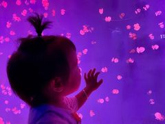 -芜湖新华联大白鲸海洋公园