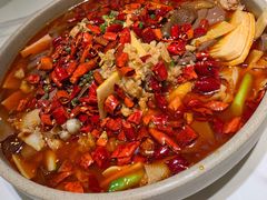 家婆毛血旺-乔阿马·江南味·驴肉香(龙湖华泾天街店)