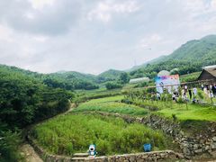-宁波浙东大竹海景区