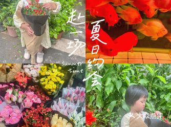 成都最大花市 | 带小朋友去买花，把好心情带回家