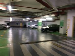 -复旦软件园·智慧新天地-停车场