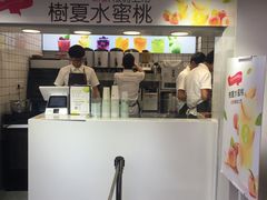 -树夏(建设路店)