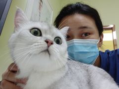 -瑞鹏宠物医院·骨科·猫科·内科(第一中心)