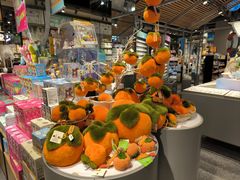 -厦门国家会计学院