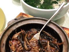 -乐和餐饮(活力源店)
