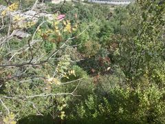 -沕沕水生态风景区