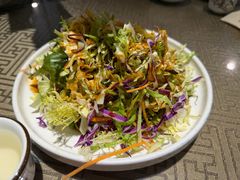 -新繁老號豌豆汤饭店·江湖菜(宝光寺店)