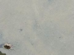 -北海金海湾红树林生态旅游区