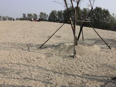 -东郊湿地公园