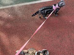 -羊亭河湿地公园