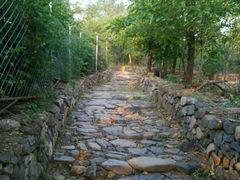 -阳台山自然风景区