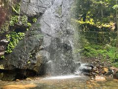 -本溪汤沟绿石谷森林公园