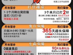 -lincat·猫舍(广州店)