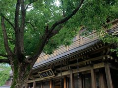 -香积寺