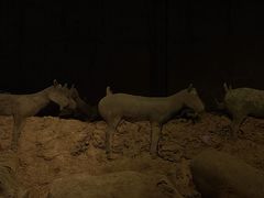 -汉景帝阳陵博物院