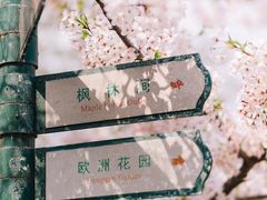 -青岛中山公园-索道售票处