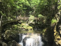 -牛背梁国家森林公园