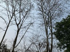 -杭州市陈经纶体育学校