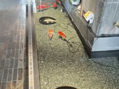 -0776食堂·京城创意菜(七里庄店)