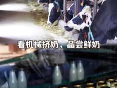 -康师傅味来馆