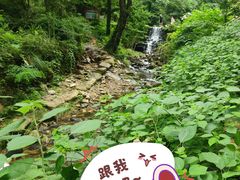 -素山寺森林公园