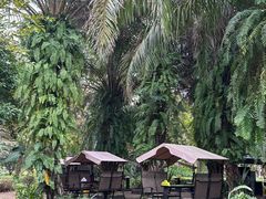 -白沙门生态公园