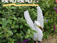 -福田红树林生态公园