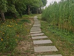 -长广溪湿地公园