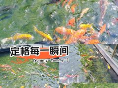 -太子园林酒家