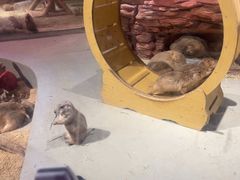 -正佳雨林生态植物园