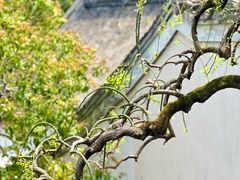 -宁波市保国寺古建筑博物馆