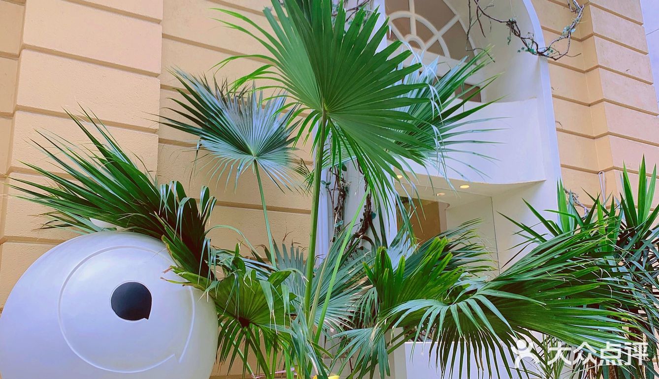 广州沙面最美花园式轻食餐厅“本我”