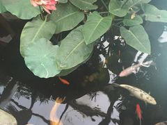 -上海大自然野生昆虫馆