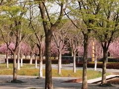 -长田漾湿地公园
