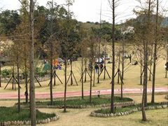 -牛岗山公园