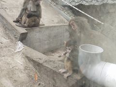 -北京鹿世界主题园